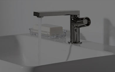 Multi-Lingual Corporate Intranet